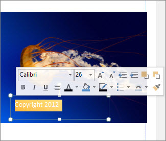 Format Text Box Text