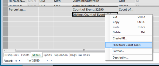 Hide a field in Power Pivot