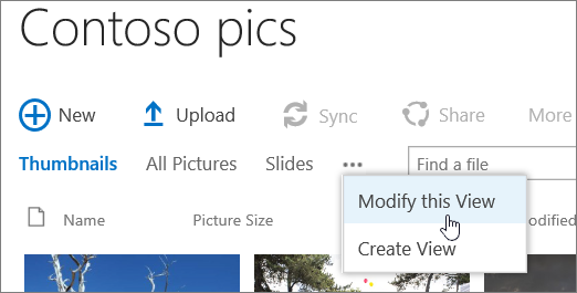 Picture library view bar with Modify View selected