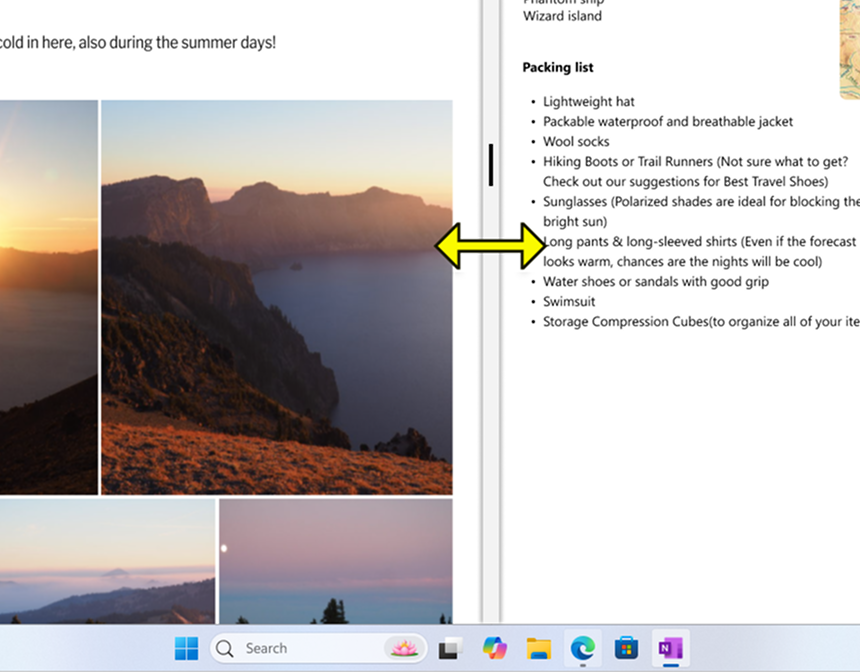 Screenshot of a bar separating the windows of a Snap Group.