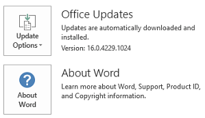 When Office has been installed by using Click-to-Run technology, the Application and Update information looks like this.