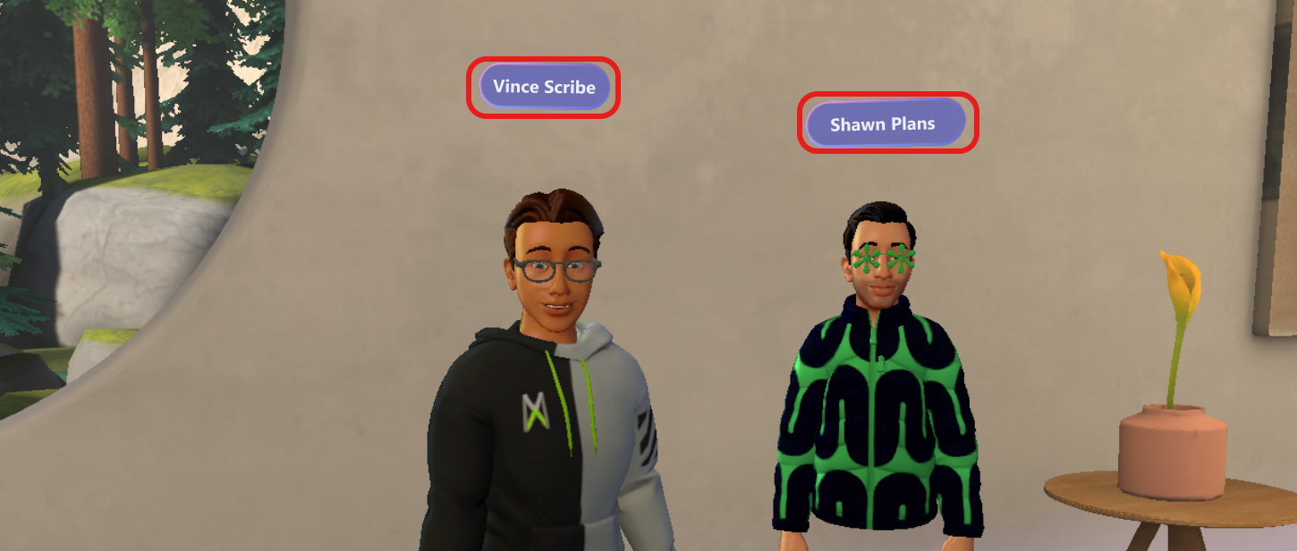 Screenshot showing name tags displayed above avatars